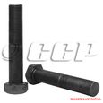 PARAFUSO-SEXTAVADO-R.P-CL.10.9---M6-100-X-45-MA-ENEGRECIDO---C--50-Pecas