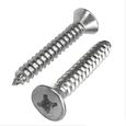 parafuso-auto-atarraxante-chata-phillips-inox-304-4-2-x-19-sku48354