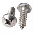 parafuso-auto-atarraxante-panela-phillips-inox-304-2-9-x-6-5-sku41475