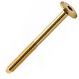 parafuso-estrutural-tampinha-allen-1-4-x-150-bicromatizado-sku42522
