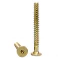 parafuso-estrutural-tampinha-allen-7-0-x-150-bicromatizado-sku42510