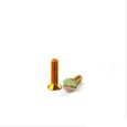 parafuso-r-m-chata-fenda-m6-1-00-x-50-ma-bicromatizado-1-sku41953