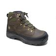 Adventure-chochorua-dark-brown-Estival